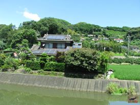 This is the countryside at the entrance to Nagasaki Bio Park with this beautiful Japanese house. I wonder who lives there, just a few minutes walk from the Capybaras? The photo doesn't do justice to how pretty and rural the area is.